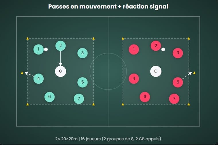 Pases en movimiento + reacción a señal